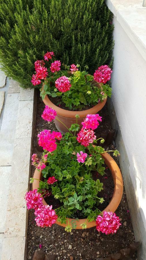 Apartments Romana Slatine Εξωτερικό φωτογραφία